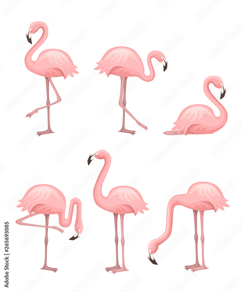 Obraz premium Cute cartoon peach pink flamingo set. Funny flamingo collection. Cartoon animal character design. Flat vector illustration isolated on white background