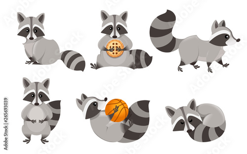 Cute cartoon raccoon set. Funny raccoons collection. Emotion little raccoon. Cartoon animal character design. Flat vector illustration isolated on white background photo