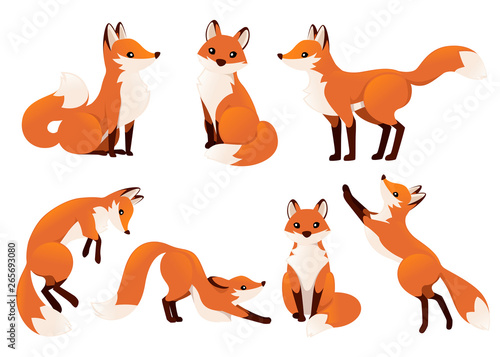Cute cartoon fox set. Funny red fox collection. Emotion little animal. Cartoon animal character design. Flat vector illustration isolated on white background photo