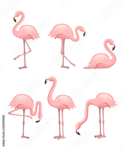 Cute cartoon peach pink flamingo set. Funny flamingo collection. Cartoon animal character design. Flat vector illustration isolated on white background