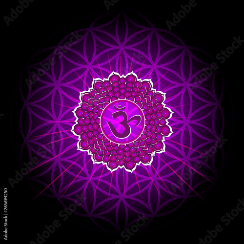 Circle mandala pattern. Sahasrara chakra vector illustration.