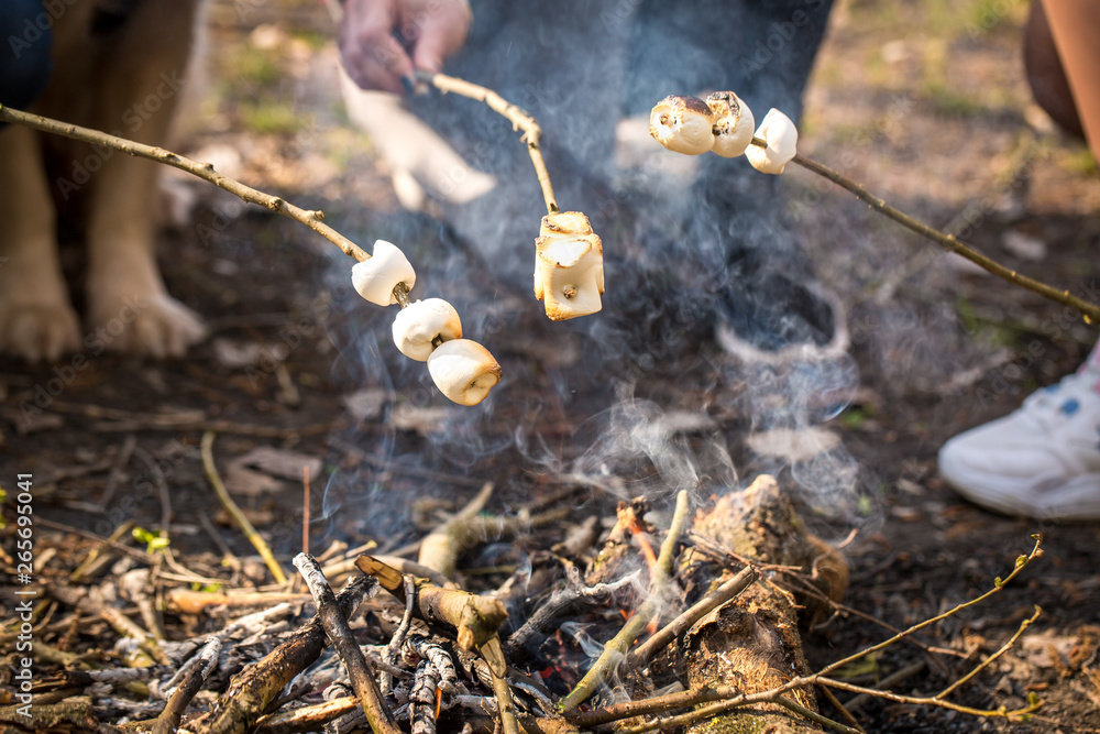 Roasted Marshmallow in Nature, close-up Roasted Marshmallow in Nature, close-up