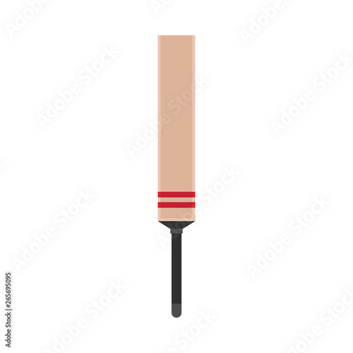 Cricket bat play field outdoor professional vector icon fun. Champion mania silhouette flat cartoon india sport club team