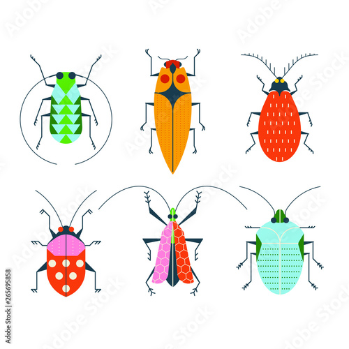 Six colourful flat graphic vector insects