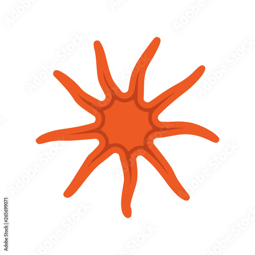 Starfish sea animal vector icon marine nature. Ocean aquatic underwater tropical summer life. Coral cartoon design