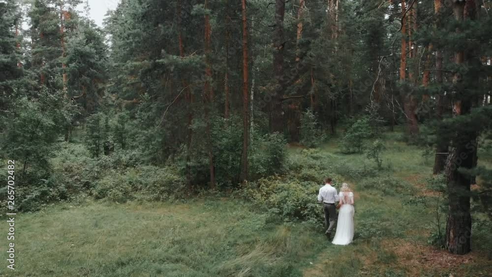Couple in wedding dress walks through the woods. Green Forest. Couple walks between the trees. Wedding dress at the bride. Wedding walk. Wedding. Married Couple in wedding dress walks through the woods. Green Forest. Couple walks between the trees. Wedding dress at the bride. Wedding walk. Wedding. Married