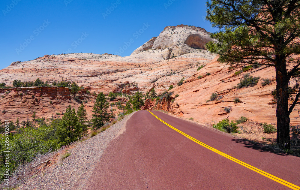 Strasse im Zion National Park Strasse im Zion National Park