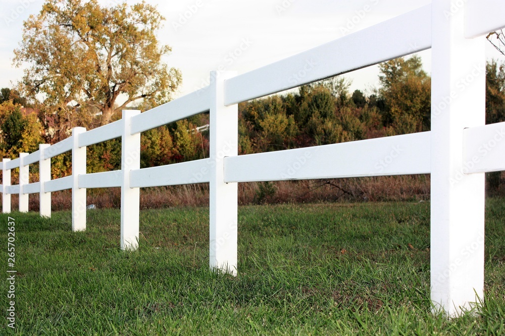 Fototapeta premium White fence along a stretch of green grass with a tree with its leaves turning color