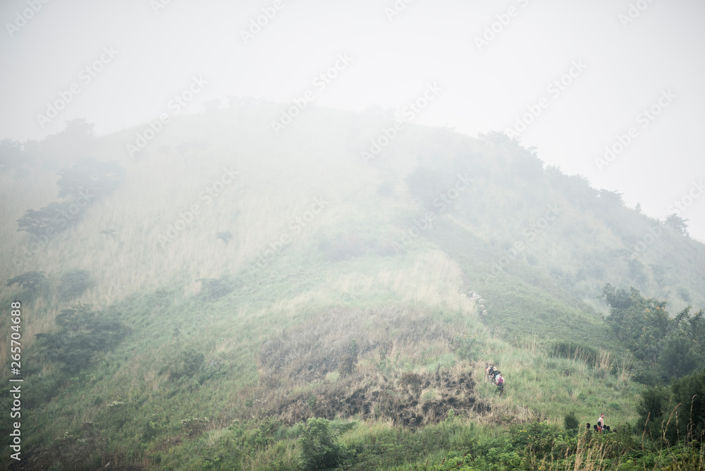 foggy green mountain hills