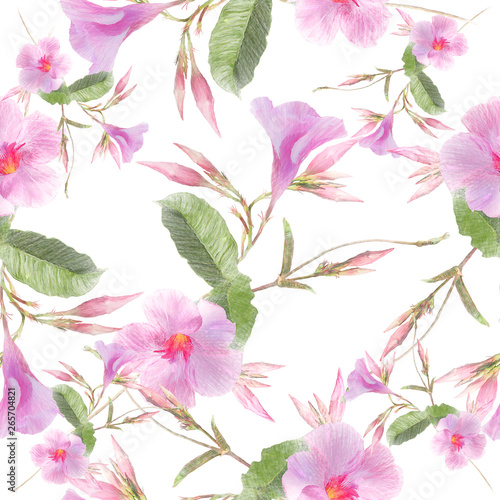 Pink Dipladenia flowers on white background.Seamless pattern.