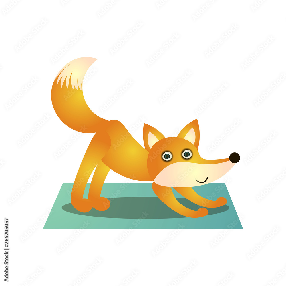 Obraz premium Cute colorful fox training yoga pose at soft mat