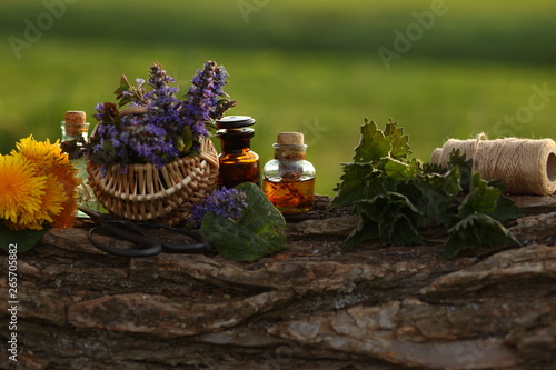 healthy plants, bottle of tincture or infusion. nature background.Herbal medicine.