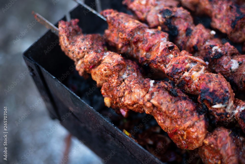 roasted meat, skewers with onions on skewers on the grill roasted meat, skewers with onions on skewers on the grill