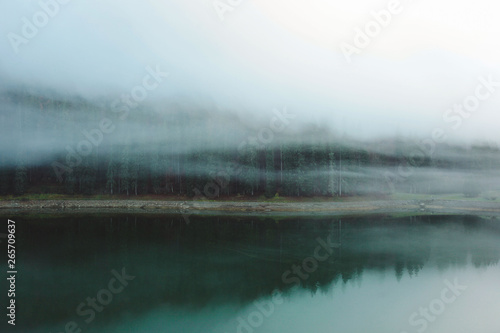 Brume