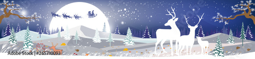Landscapes Winter wonderland,Vector cartoon of Santa sleigh and reindeers flying over full moon, Reindeers family looking at Father Christmas sleigh Reindeers in the sky, Merry Christmas background