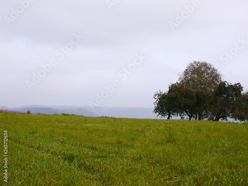 A green meadow a group of trees and covered sky in southern Germany