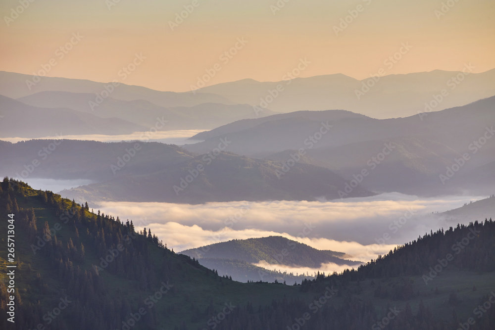 Obraz premium Beautiful white cloud sky, with fog on the morning. Fog in the morning with mountain