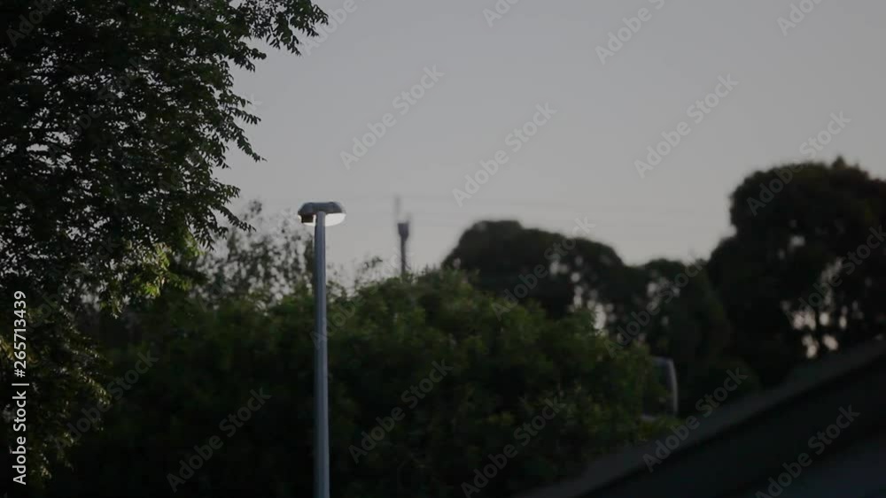 Streetlight shining down on suburban street below. Streetlight shining down on suburban street below.