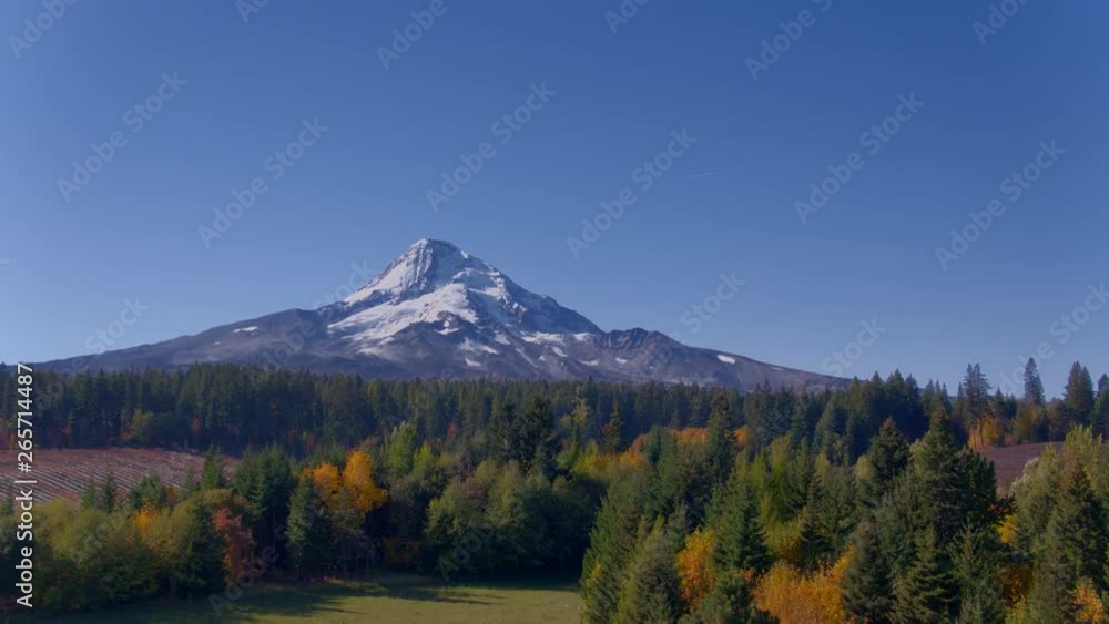 Aerial view rising upward from behind trees revealing vineyards, a snow-capped Mt Hood and fall colors beginning to show in the trees and bushes Aerial view rising upward from behind trees revealing vineyards, a snow-capped Mt Hood and fall colors beginning to show in the trees and bushes