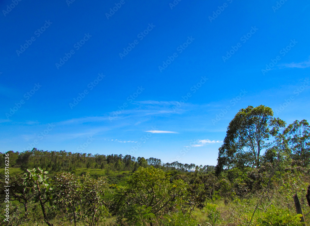 View of Atlantic forest with beautiful blue sky, Brazil View of Atlantic forest with beautiful blue sky, Brazil