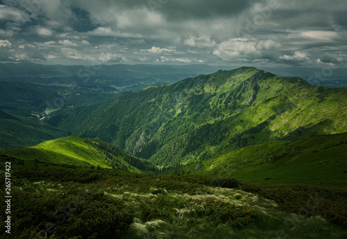 Beautiful view of the tranquil alpine landscape with green meadows, trees, dark low clouds on the mountains in the background on a sunny summer day.