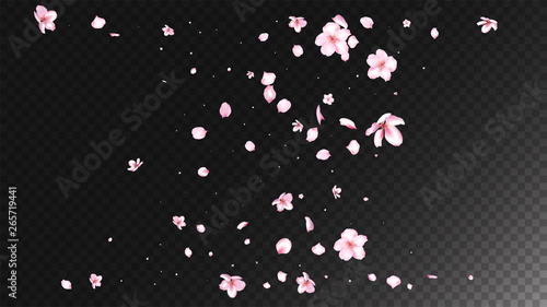 Nice Sakura Blossom Isolated Vector. Realistic Blowing 3d Petals Wedding Border. Japanese Nature Flowers Illustration. Valentine, Mother's Day Feminine Nice Sakura Blossom Isolated on Black