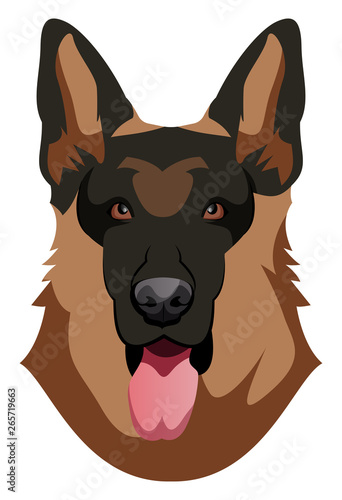 German Shepherd illustration vector on white background