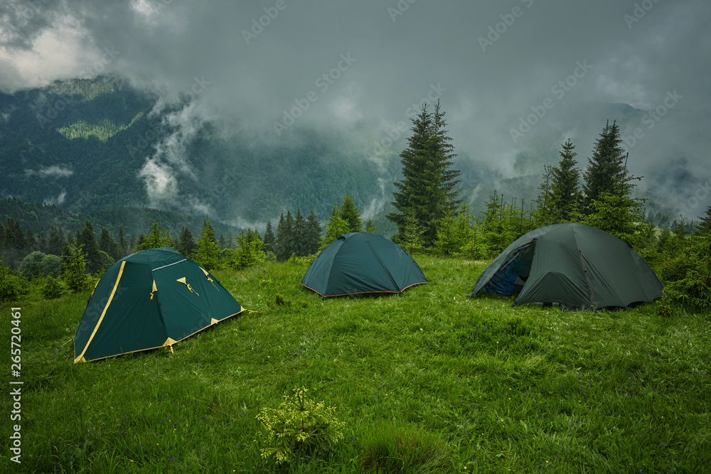 Camping and tents in the forest in the mountains Camping and tents in the forest in the mountains
