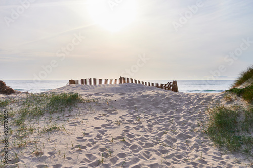 White dune in front of the sea  with vegetation and protection fence on top.