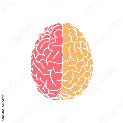 Red and yellow brain icon on white BG