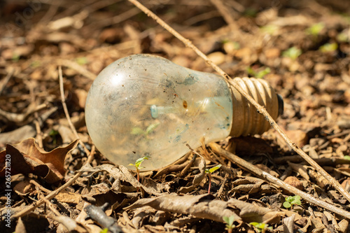 old lamp thrown into the environment
