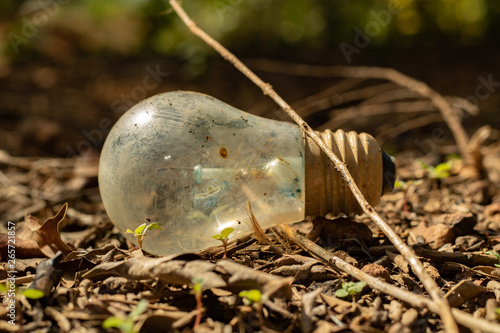 old lamp thrown into the environment