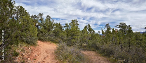 Snow Canyon Overlook, views from the Red Mountain Wilderness hiking trail head, State Park, St George, Utah, United States 