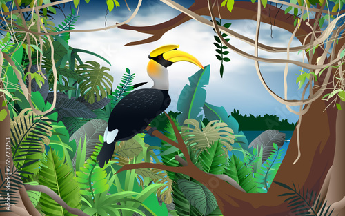 hornbill bird on the tree in the jungle
