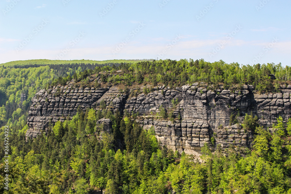 View on cliffs in forrest, české švýcarsko, Czech Republic View on cliffs in forrest, české švýcarsko, Czech Republic