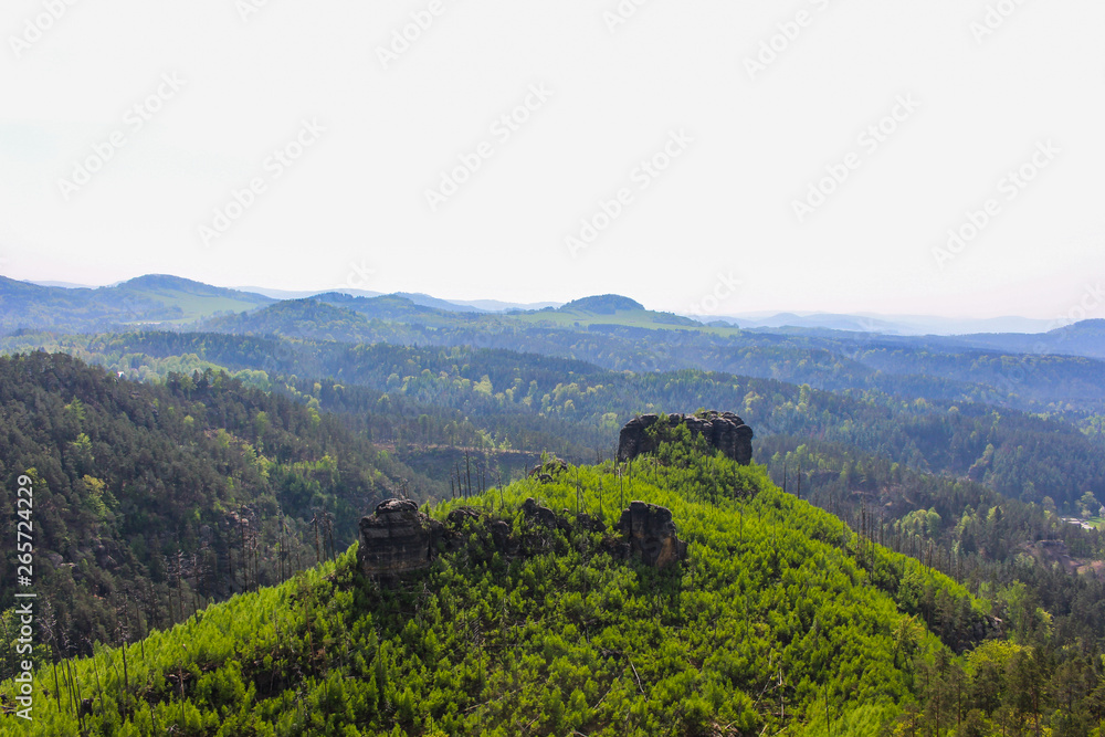 Nice green hill, Czech Republic