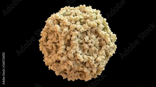 Human Parvo Virus b19 Capsid Structure based on PDB : 1S58, 360 degree rotation loop