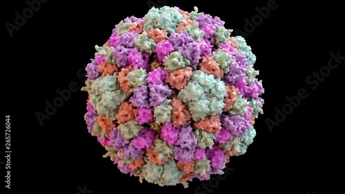 Enterobacteria Bacteriophage phiX174 Capsid Structure based on PDB : 1CD3, 360 degree rotation loop