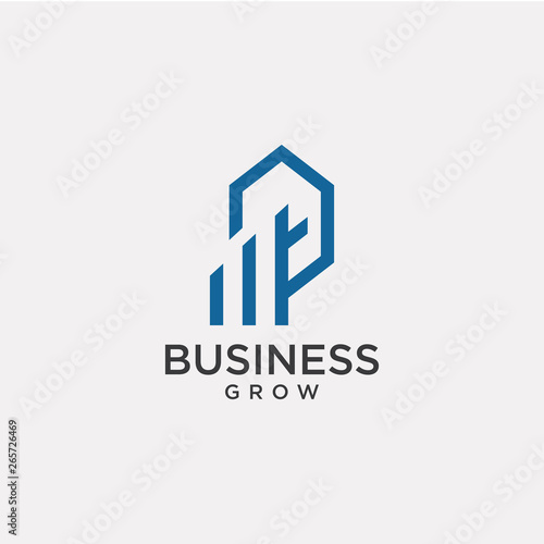 Bussiness Grow Logo - Vector logo template