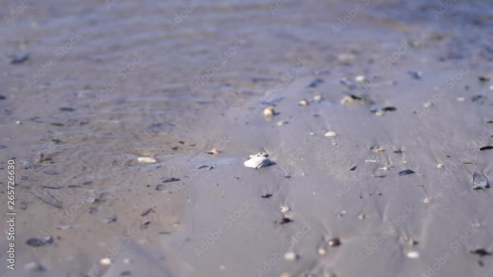 Tide flowing over Australian beach