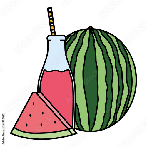fresh watermelon juice fruit in botttle with straw