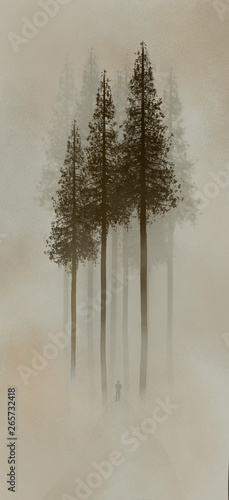 Rewood trees are seen in a fog