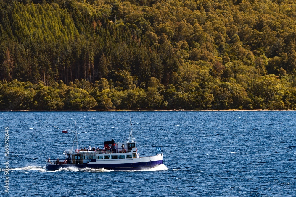 cruise ship sailing on the sea