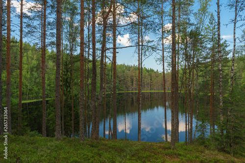 Lake view through trees of deep coniferous forest