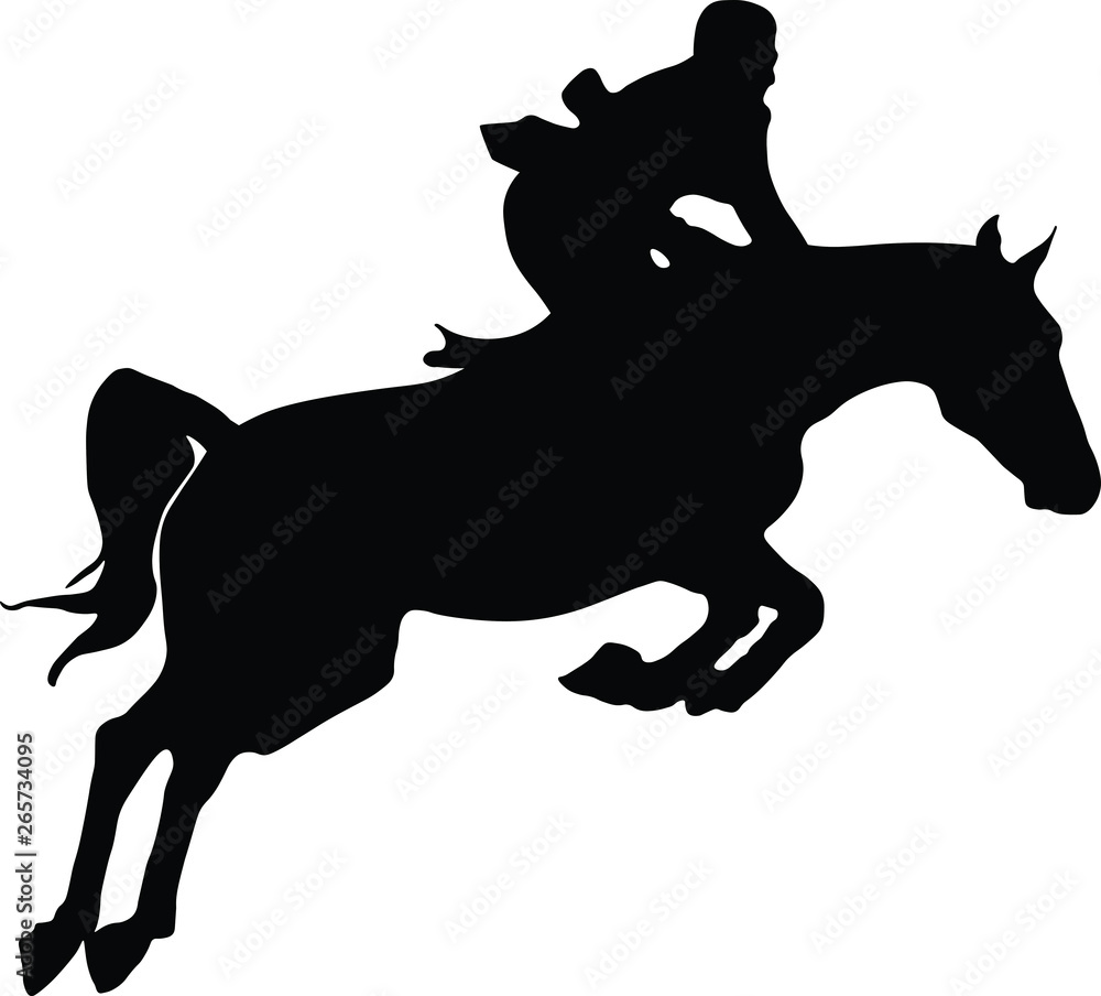 silhouette of horse and rider