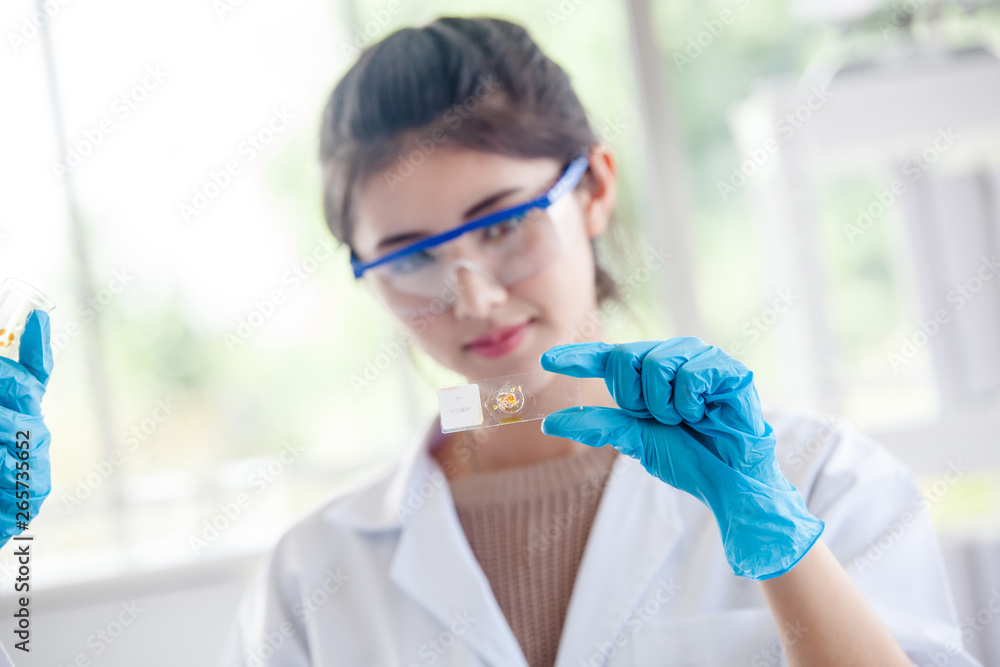 scientist with equipment and science experiments scientist with equipment and science experiments