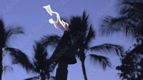 Tiki torch with palm trees in the background. Panning movement and blue dusk colors. photo