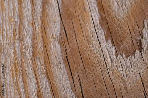 wood texture background