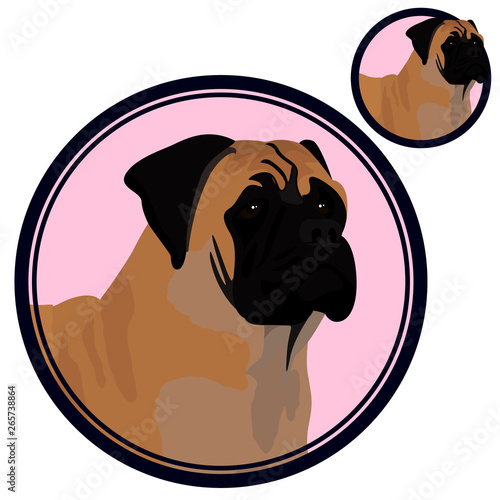 Bullmastiff dog head in circle