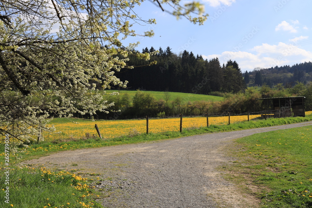 Obraz premium Frühlingslandschaft